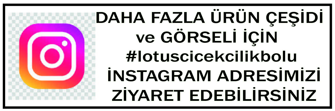 Öneçıkan Ürün